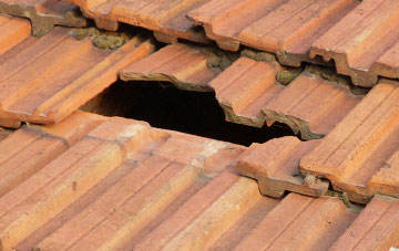 roof repair Meigle