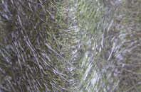 Meigle fibreglass roof work